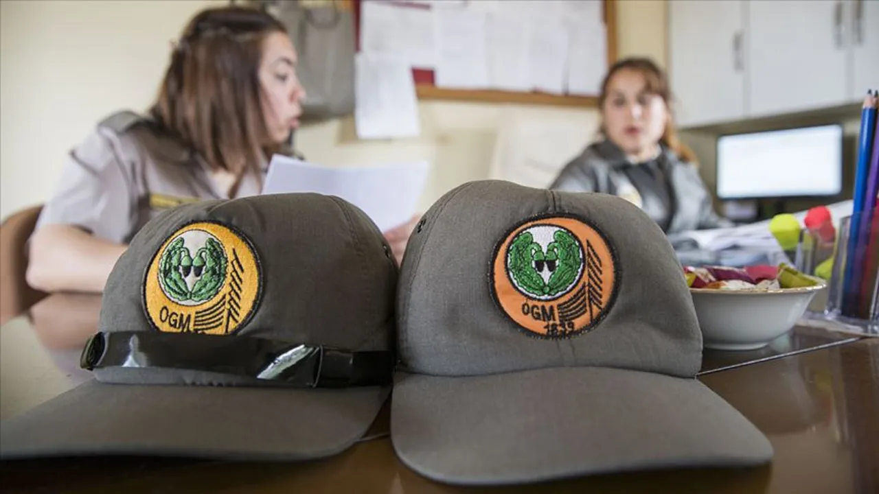 المديرية العامة للغابات في تركيا تطلق حملة توظيف كبرى.. هذه هي المهن المطلوبة