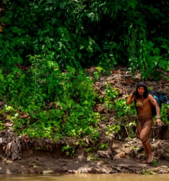 لأول مرة.. لقطات واضحة تظهر وجوه وأسلحة قبيلة منعزلة (صور)