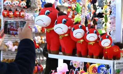 بعد "لابوبو" المرعبة.. "الحصان الباكي" يثير الجنون في الصين (صور)