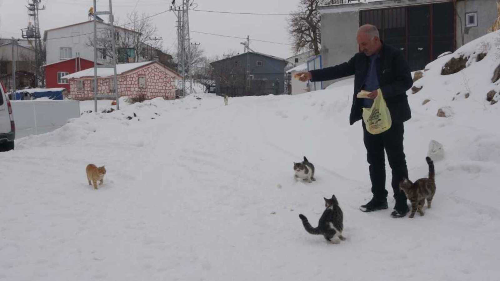 من أجل الحيوانات.. مختار تركي يبقى وحيدًا في قريته وسط الثلوج (فيديو)