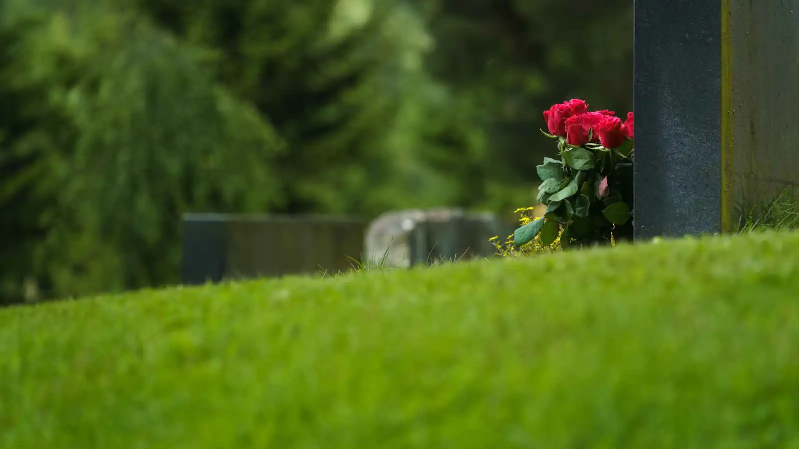 اشترى ورداً لقبر ضحيته.. سلوك قاتل يثير الدهشة في تركيا (فيديو)