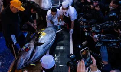 اليابان تفتتح 2026 بمزاد خيالي.. 3.2 مليون دولار ثمناً لسمكة تونة واحدة