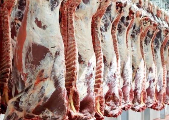 وزارة الدولة لشؤون الإغاثة توزع لحوم الأضاحي على أكثر من 16 ألف أسرة متضررة في قطاع غزة بالتعاون مع وزارة التنمية