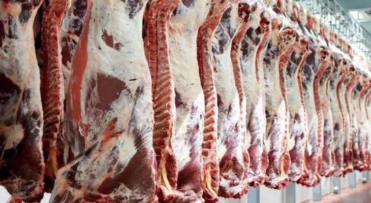 وزارة الدولة لشؤون الإغاثة توزع لحوم الأضاحي على أكثر من 16 ألف أسرة متضررة في قطاع غزة بالتعاون مع وزارة التنمية