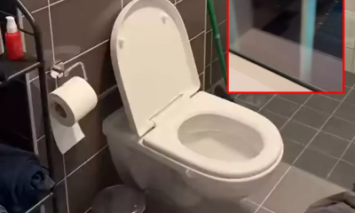 من نافذة الحمام إلى قلب الملعب… شاب هولندي يُشعل السوشيال بمشهد غير متوقع