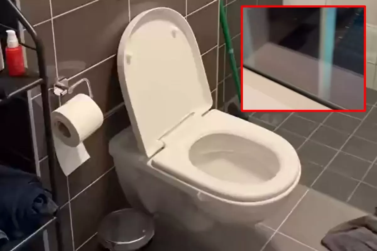 من نافذة الحمام إلى قلب الملعب… شاب هولندي يُشعل السوشيال بمشهد غير متوقع