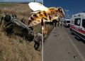 نحلة تتسبب بحادث مأساوي يودي بحياة شخص وإصابة آخرين