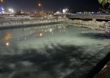 مشهد مروع في مجرى نهر بإسطنبول! آلاف القتلى جرفتهم الأمواج إلى الشاطئ.
