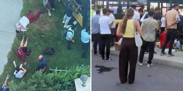 حادث مروع في إسطنبول.. حافلة IETT تصطدم بجدار سكني وإصابة 6 أشخاص