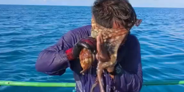 في مشهد لا يُصدق.. أخطبوط يهاجم وجه صياد ويشعل مواقع التواصل