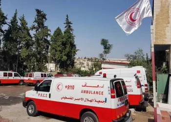 وظائف شاغرة في الهلال الأحمر الفلسطيني بقطاع غزة.. رابط التسجيل