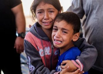 جمعية البركة الجزائرية.. رابط تسجيل الأيتام في غزة عبر تطبيق «كفالة»