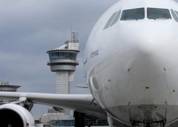 غزو حشرات مرعبة يتسبب في إلغاء رحلة جوية